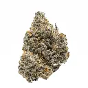 growerschoice_rainbow_runtz.webp