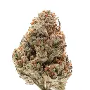 silvergrapesherbet_256914320.webp