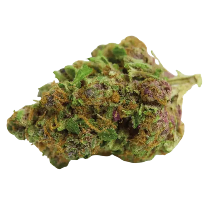 double_xl_red_banana_berry_autoflower_growers_choice_nederland_1_.webp
