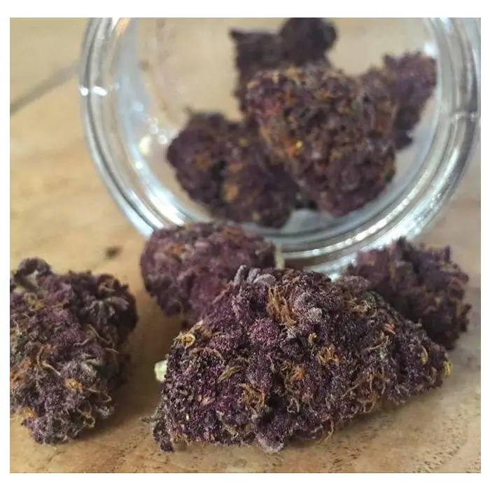 red_jack_feminized_autoflower_by_growerschoice_cannabis_seeds.webp
