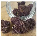 red_jack_feminized_autoflower_by_growerschoice_cannabis_seeds.webp