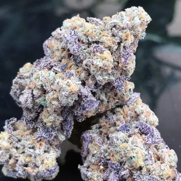 blue_zushi_by_growerschoice_feminized_cannabis_seeds.webp