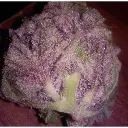 cherry_mac_muffin_by_growerschoice_feminized_cannabis_seeds.webp