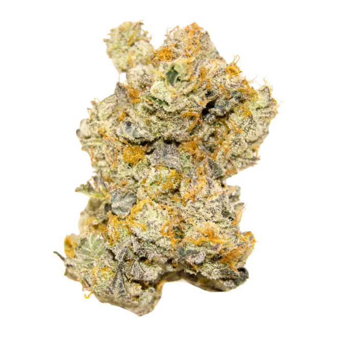 White truffle autoflower - Limited Edition