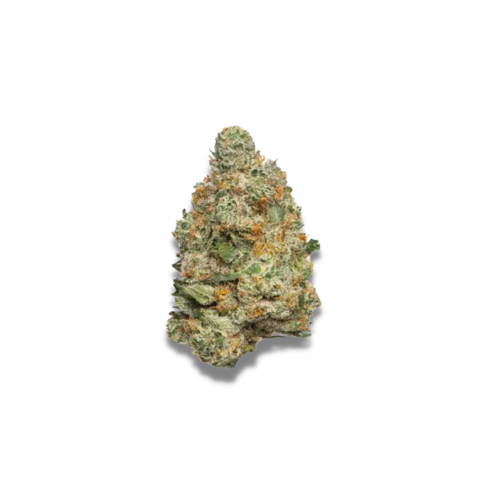 Apple Fritter Autoflower