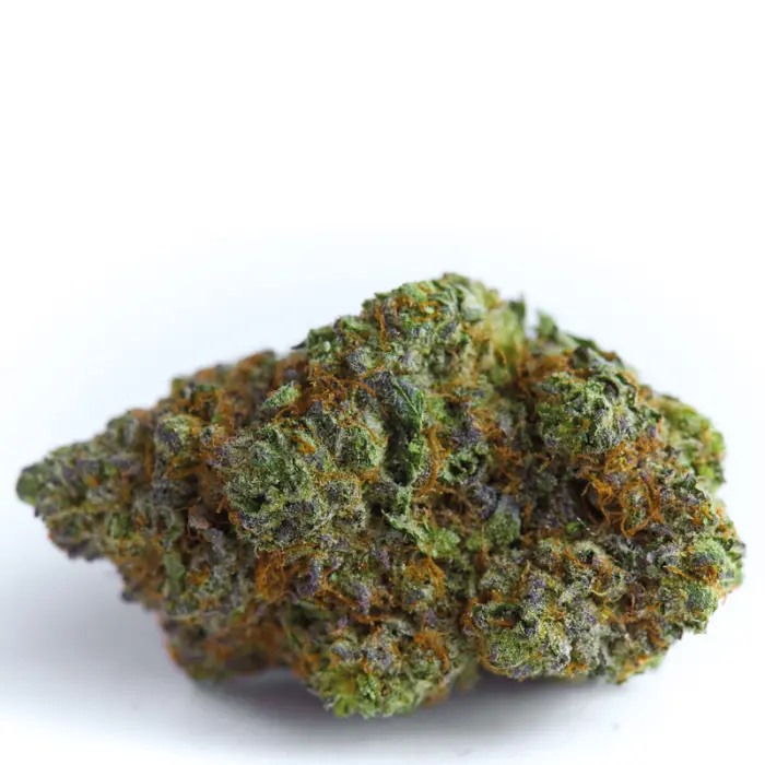 Blue Forestberry Autoflower
