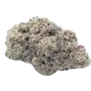 Cherry Zoap Autoflower