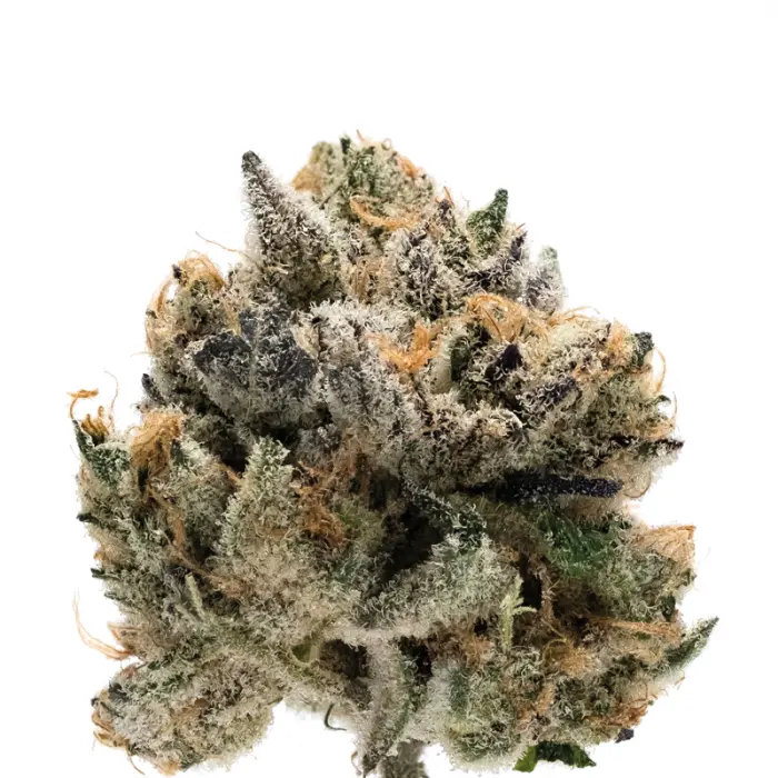 Double xl Tropical Cookies