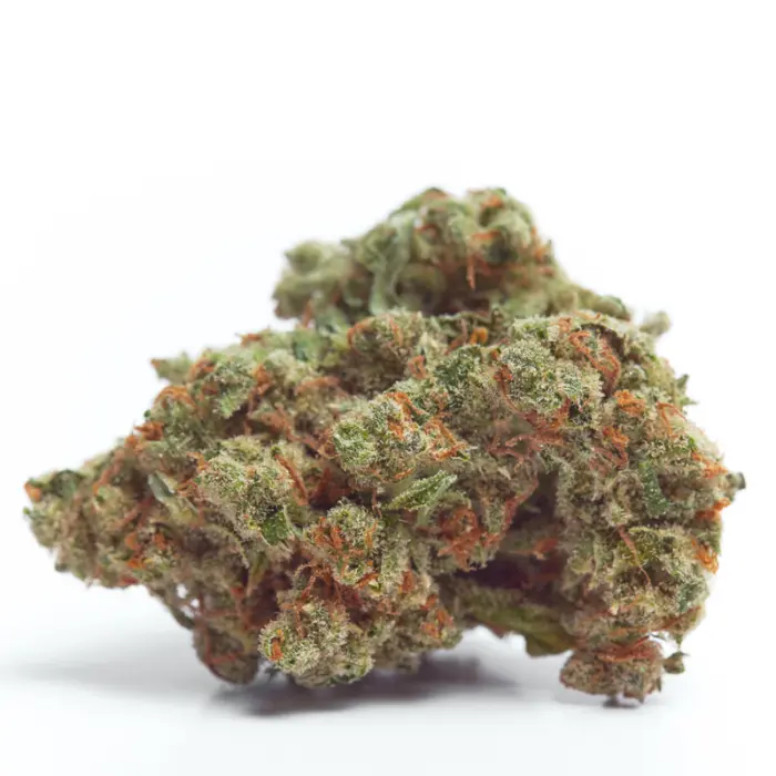 Gorilla Cookies Autoflower