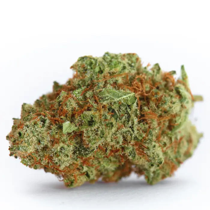 Monsterbud Autoflower