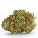 Monsterbud Autoflower