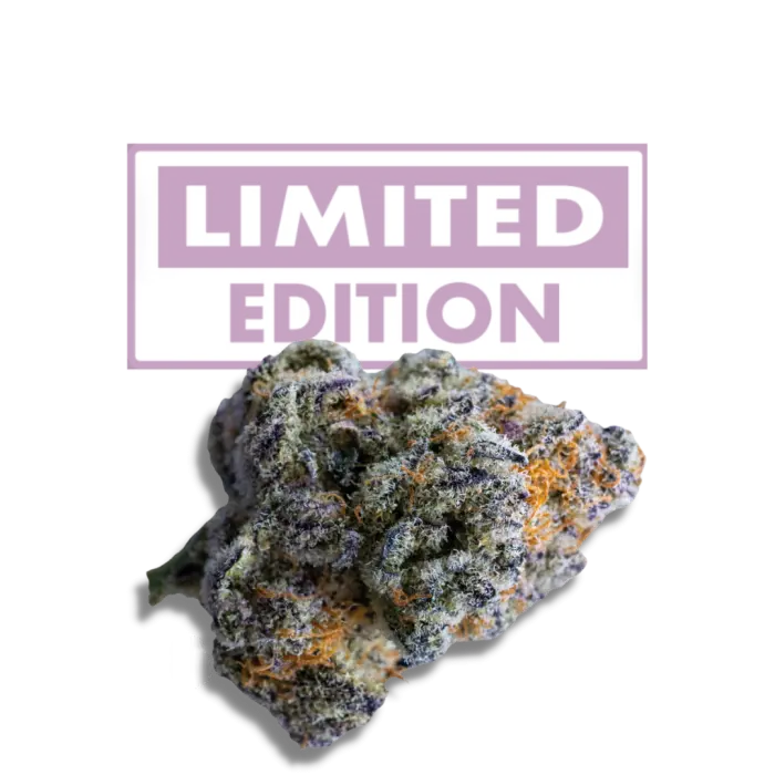 Platinum Mimosa Cookies Double XL Autoflower