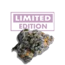 Platinum Mimosa Cookies Double XL Autoflower