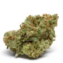 The Real Amnesia Autoflower
