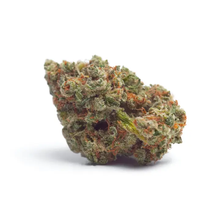 Tropicana Weddingcake Autoflower