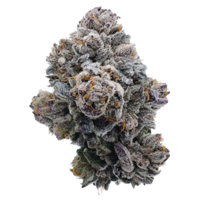 Pink GlitterBomb