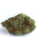 Blue Forest Berry