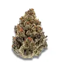 Bruce Banner