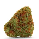 Bubblegum x Fat HOG