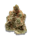 Monkey Glue