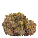 San Fernando Valley x The Purps