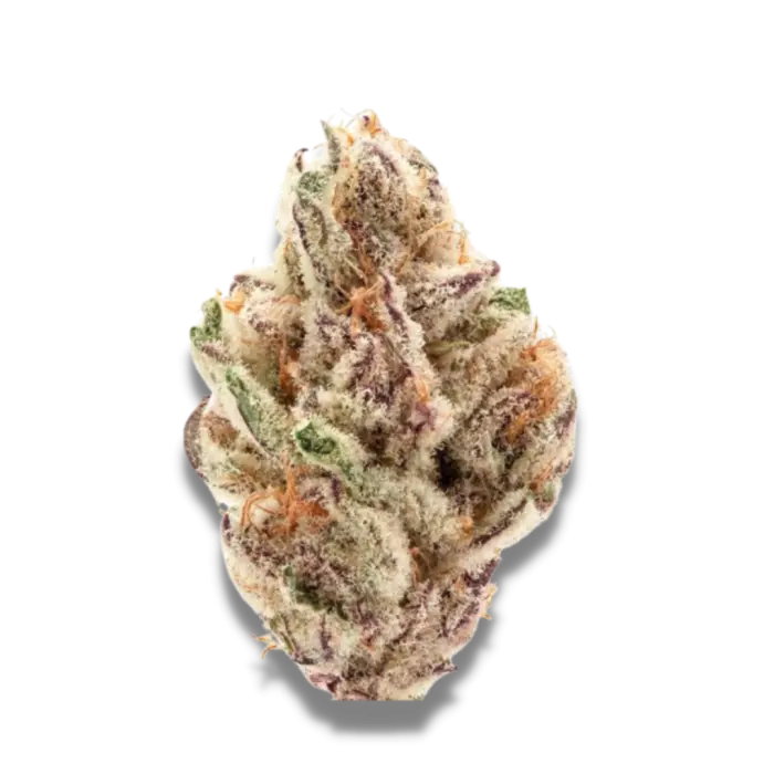 Sour Zkittlez