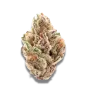 Sour Zkittlez
