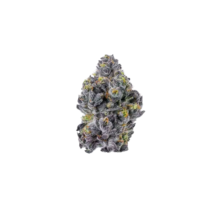 Triploid f1 Sticky wasabi