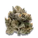 Tropical Cookies