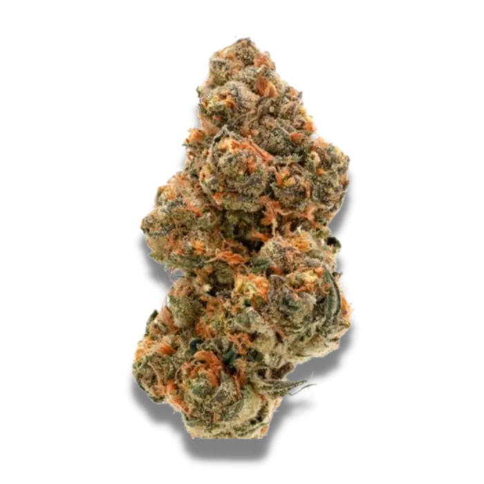 Weddingcake x Frosty Gelato