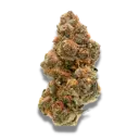 Weddingcake x Frosty Gelato