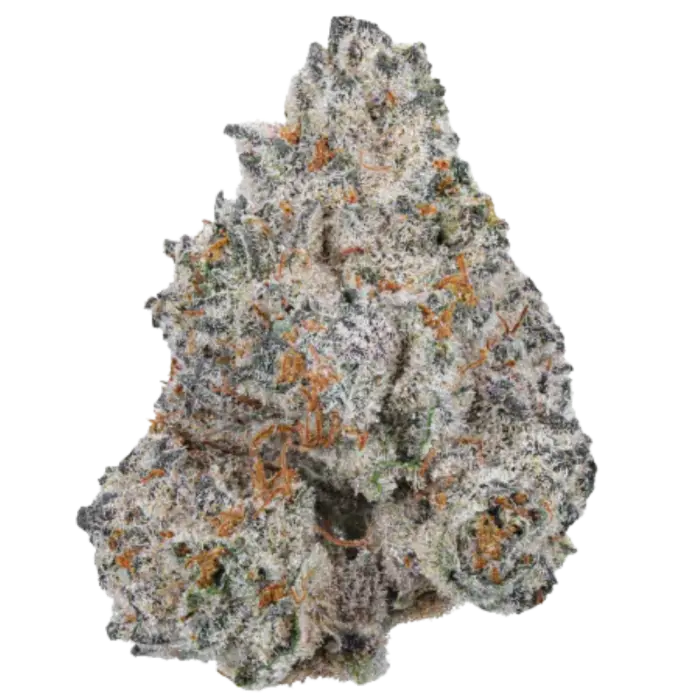 White Truffle Limited Edition