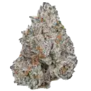 White Truffle Limited Edition