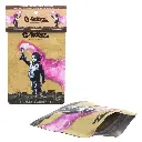 G-Rollz | Banksy's Graffiti 'Torch Boy' Smell Proof Bags (65mm x 85mm)