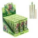 G-Rollz | Collector 'Colossal Dream' Unbleached - 3 KS Cones (24 Packs Display)