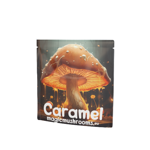 
Caramel Fudge with Mushroom Extract