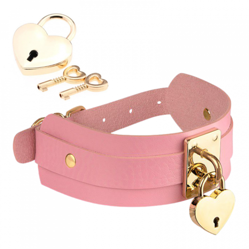 Kinky Pink/Gold Collar