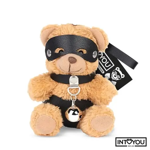 BDSM-Inspired Teddy Lingerie