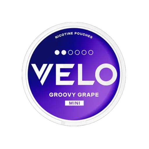 VELO MINI PURPLE