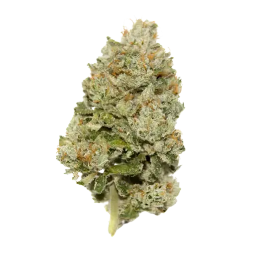 Lemon zkittlez autoflower - Limited Edition