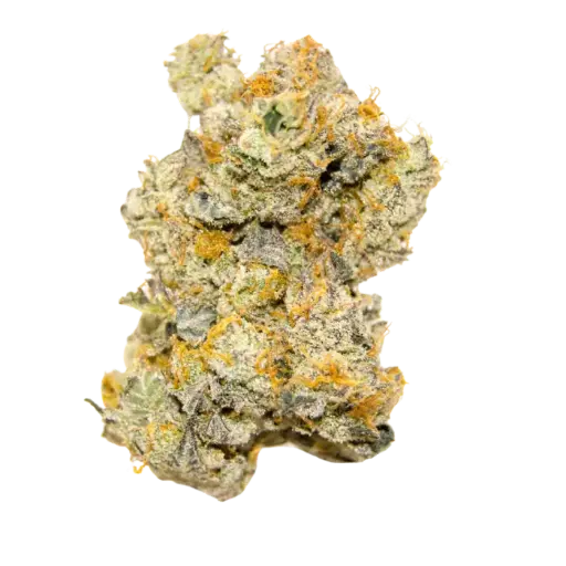 White truffle autoflower - Limited Edition