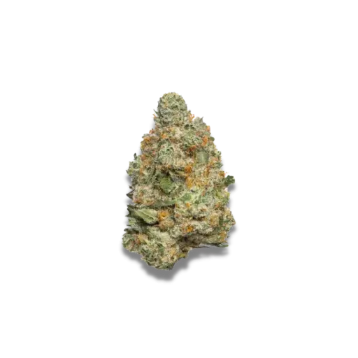 Apple Fritter Autoflower