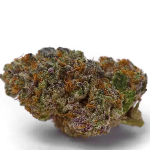 Blue Dream Sherbet Autoflower
