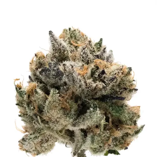 Double xl Tropical Cookies