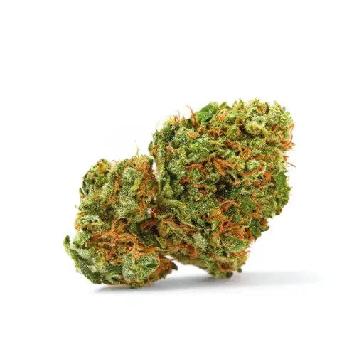 Grapefruit x Bubblegum Autoflower