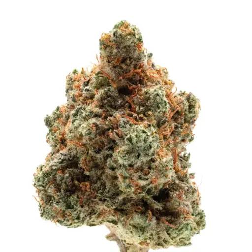 Monkey Glue autoflower