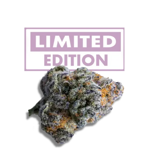Platinum Mimosa Cookies Double XL Autoflower