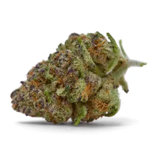 Rainbow Candy Autoflower
