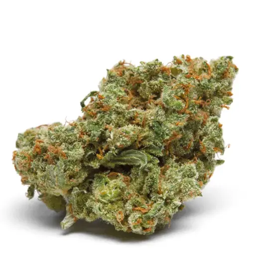 The Real Amnesia Autoflower