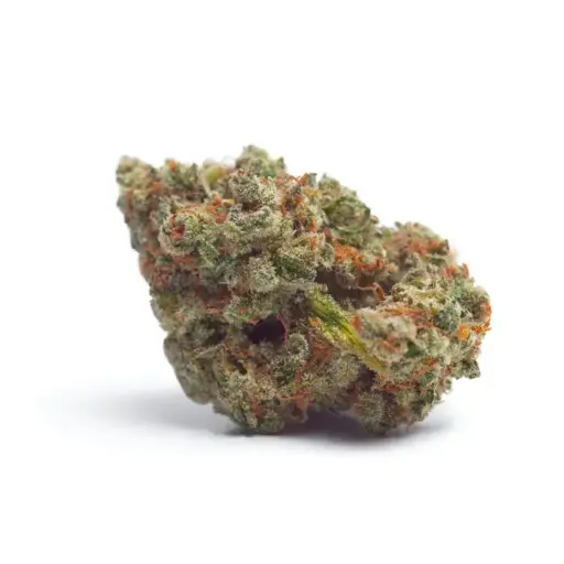 Tropicana Weddingcake Autoflower
